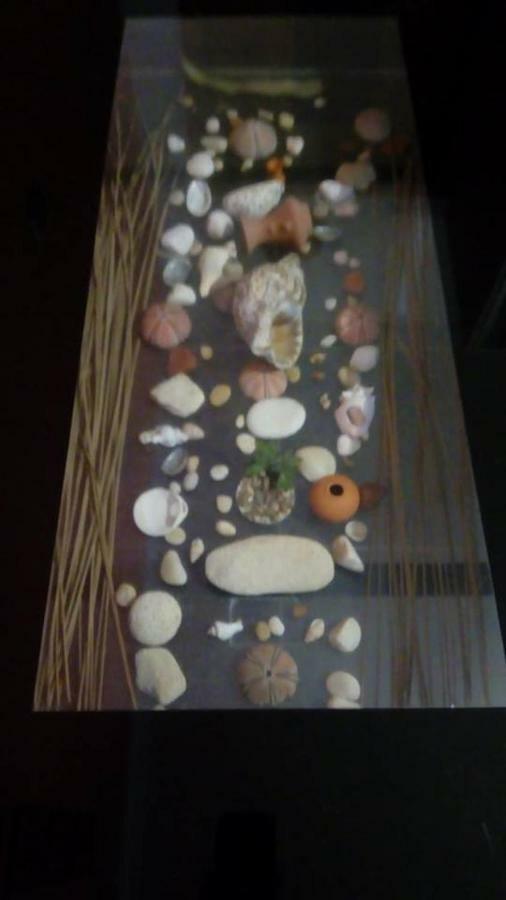 Appartamento Sea View House Ribeira Brava Esterno foto